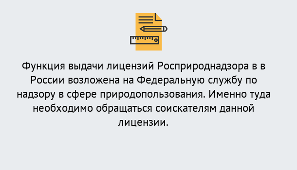 Почему нужно обратиться к нам? Каменка Лицензия Росприроднадзора. Под ключ! в Каменка