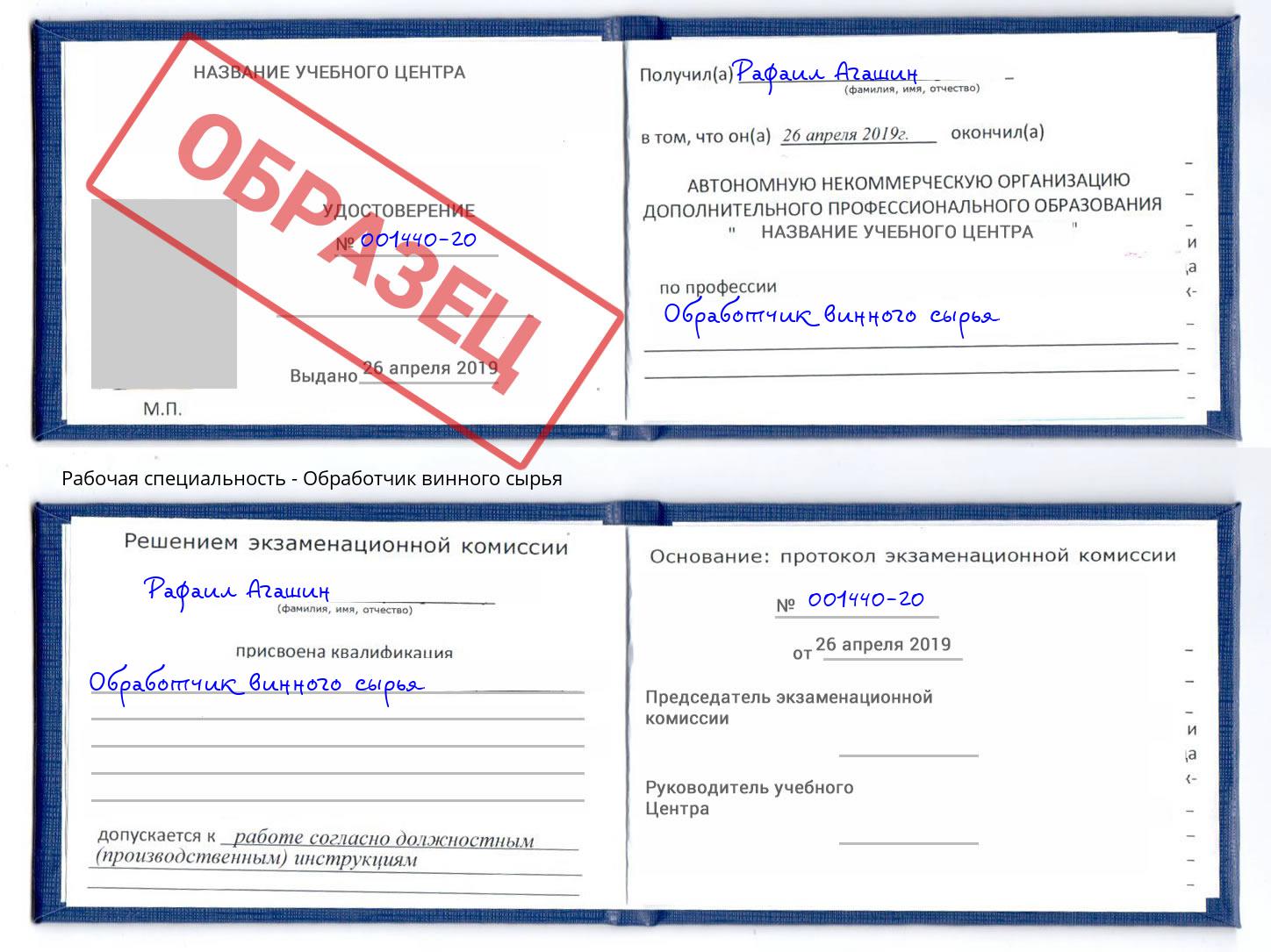 Обработчик винного сырья Каменка