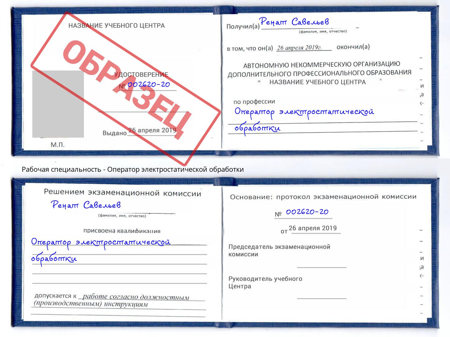 Оператор электростатической обработки Каменка