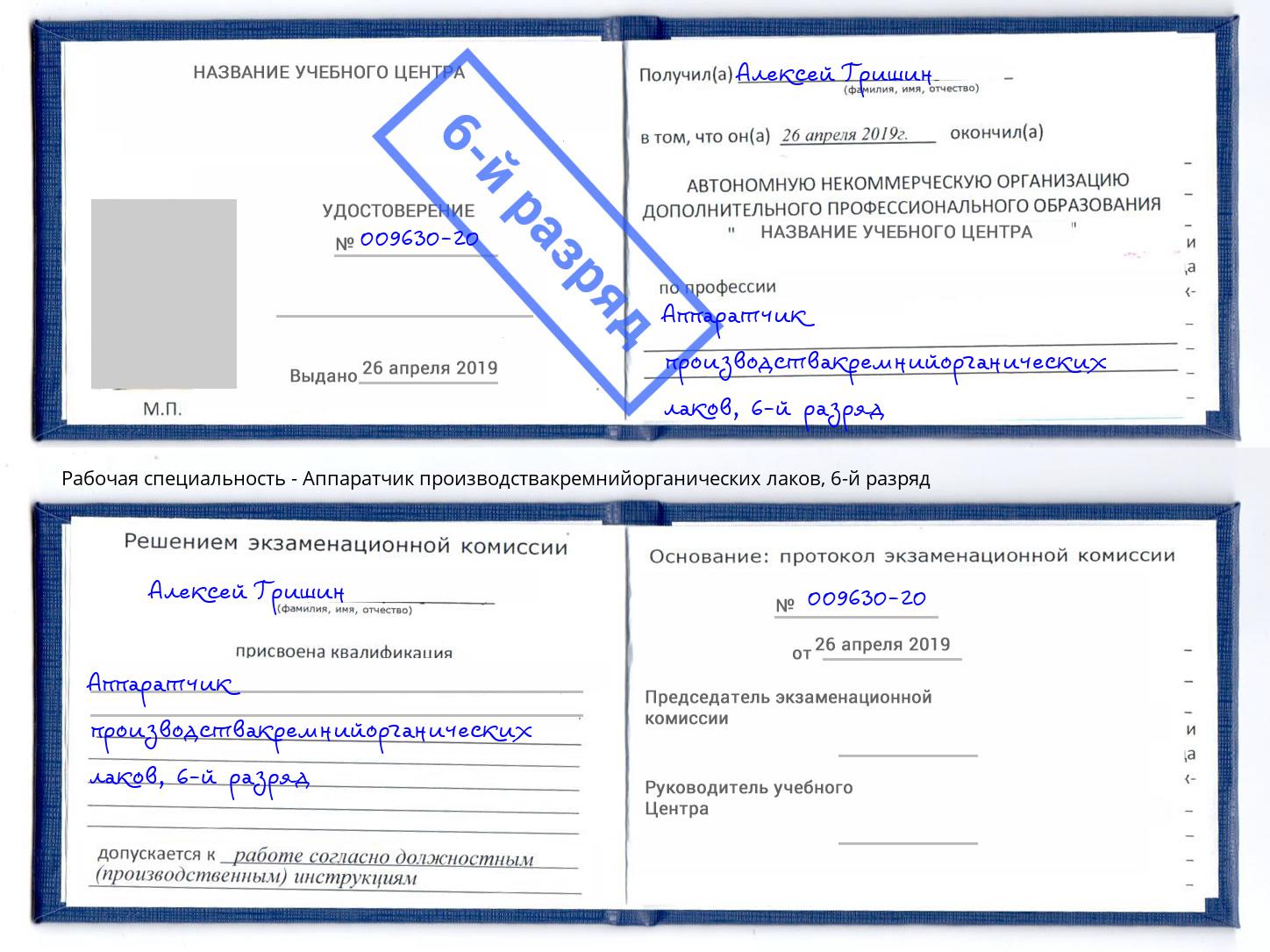 корочка 6-й разряд Аппаратчик производствакремнийорганических лаков Каменка