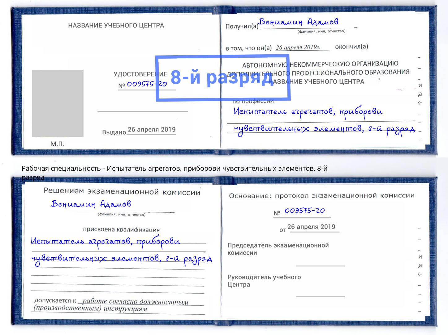 корочка 8-й разряд Испытатель агрегатов, приборови чувствительных элементов Каменка